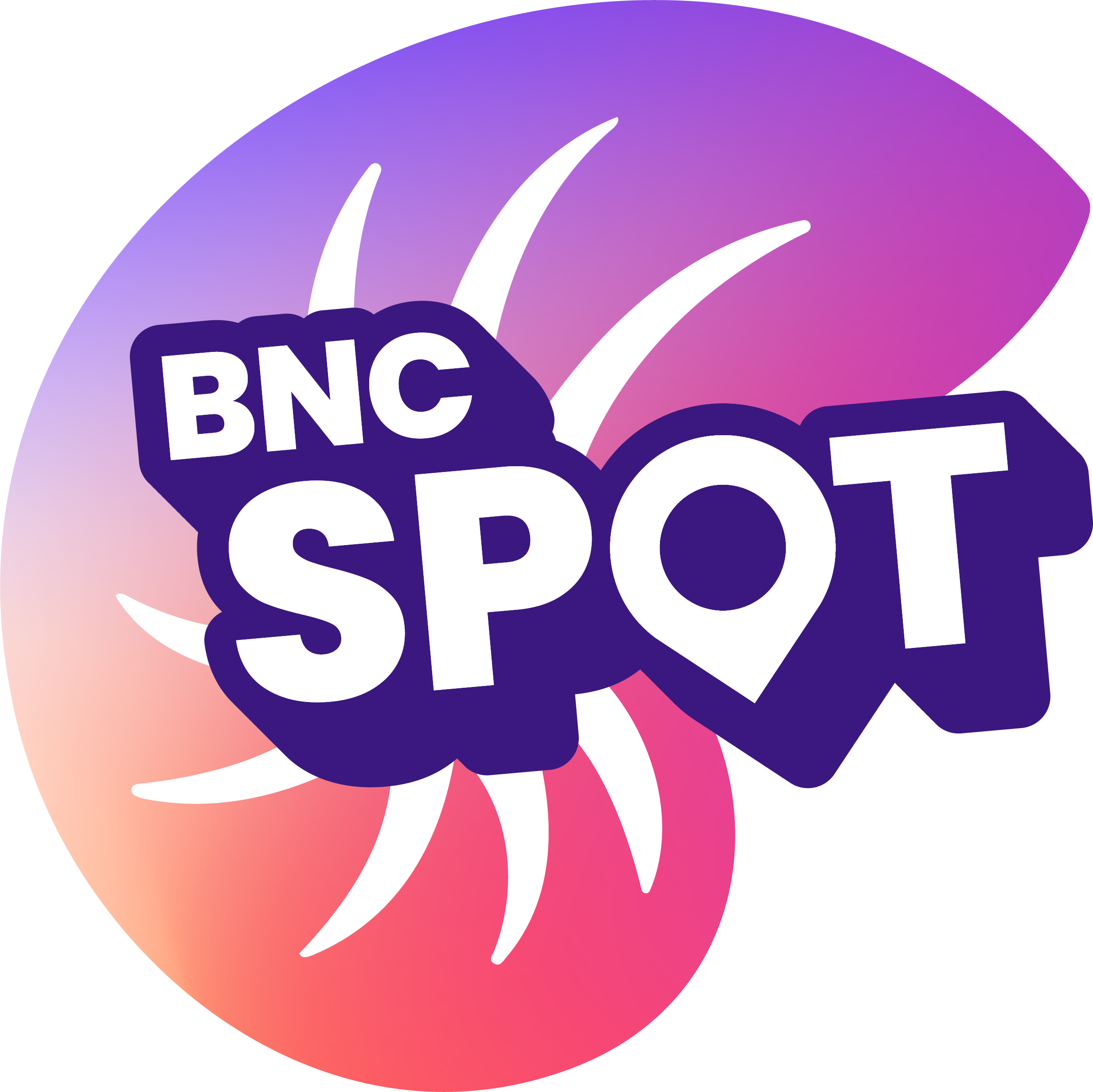 BNC SPOT